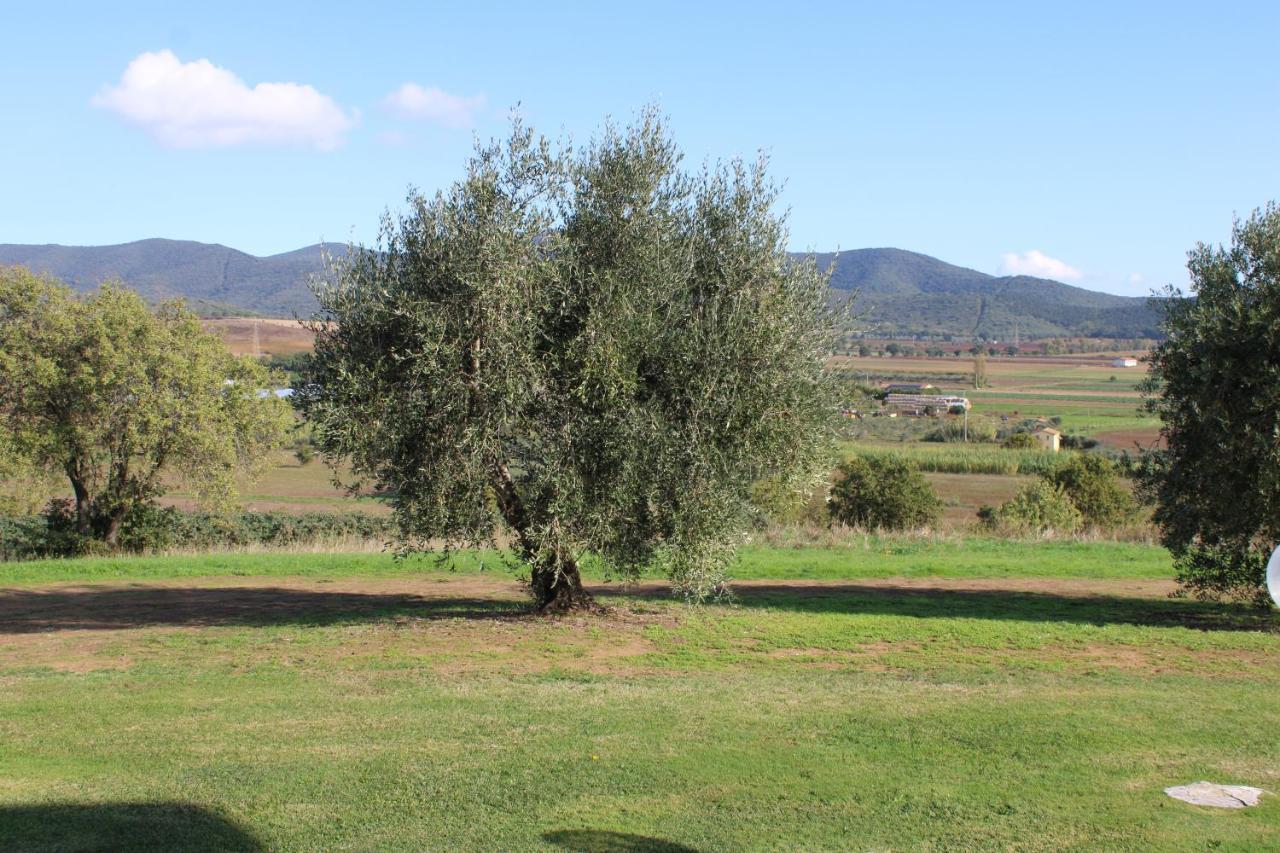 Agriturismo Il Montoto Βίλα Castiglione della Pescaia Εξωτερικό φωτογραφία